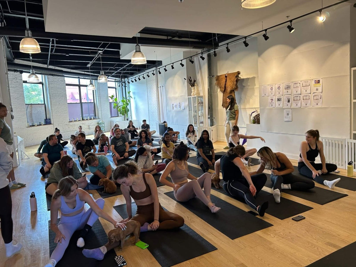 A group of beginner yoga enthusiasts enjoying their class with adorable puppies.