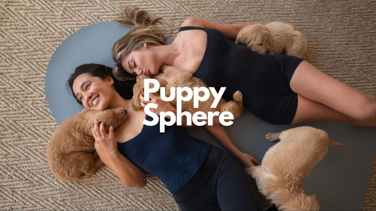 Two ladies holding a puppy