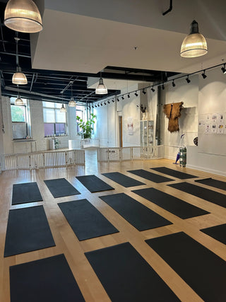 Wellness Puppy Yoga | Chicago Logan Square