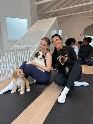 Wellness Puppy Yoga | San Francisco