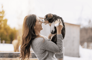 10 Things to Know Before Getting a Puppy