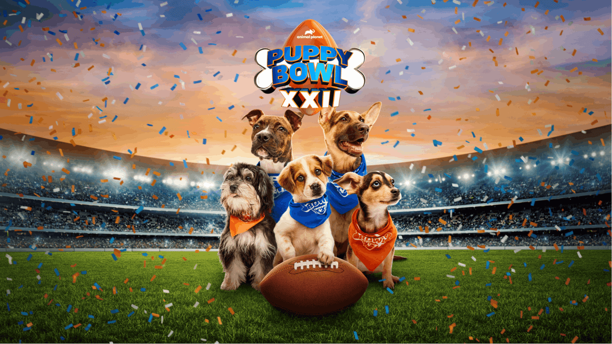 Puppy Bowl 2026 Lineup: Meet This Year's Starting Pups