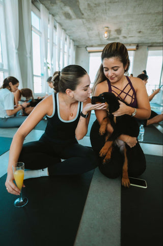 The Science Behind Puppy Yoga: A Modern Approach to Wellness