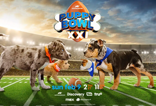 How to Watch Puppy Bowl 2025: Complete Viewing Guide with Streaming Options