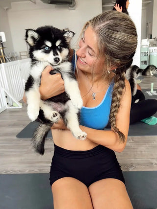 How Much Does Puppy Yoga Cost in 2026? Pricing Guide for NYC, Toronto, Chicago, D.C. & More | Puppy Sphere