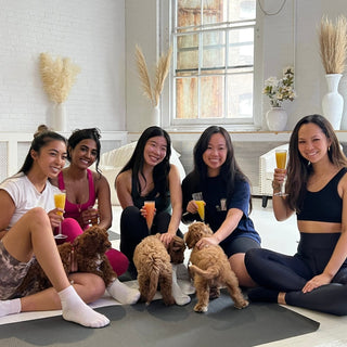 Group of women enjoying their mimosas with puppies