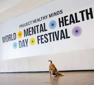 Shiba Inu puppy stretching in a play bow on the studio floor under the Project Healthy Minds World Mental Health Day Festival banner