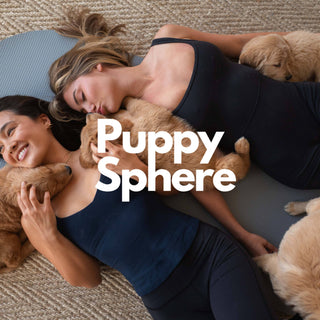 Group of women enjoying their mimosas with puppies