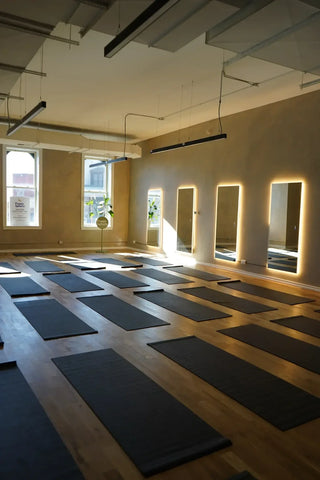 Chicago West Town Puppy Yoga