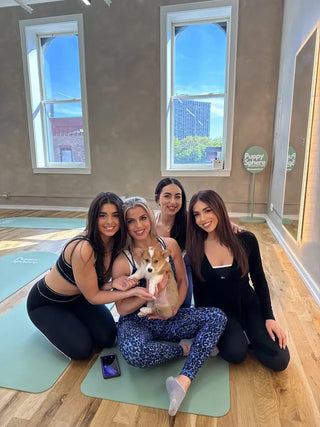 Chicago West Town Puppy Yoga