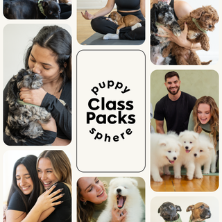 Puppy Yoga Class Packs | USA