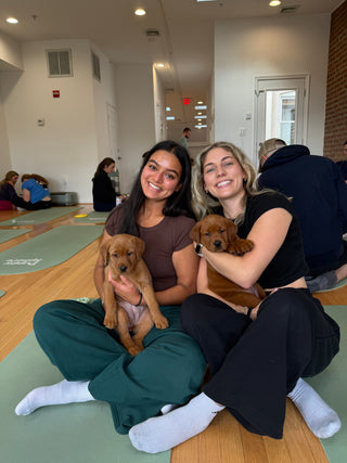 Wellness Puppy Yoga | Washington D.C.