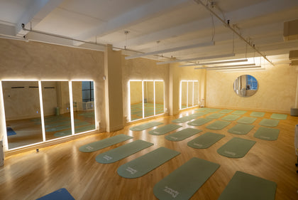 NYC Flatiron Studio 1 Puppy Yoga