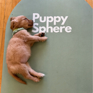 Wellness Puppy Yoga | Flatiron Studio 1
