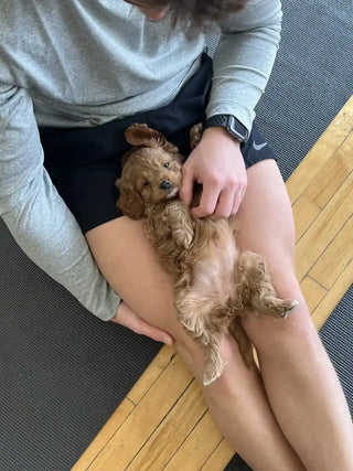 NYC Flatiron Studio 2 Puppy Yoga