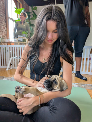 Wellness Puppy Yoga | Long Island