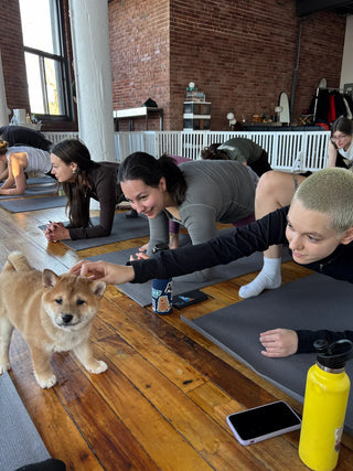 Wellness Puppy Yoga | Montréal