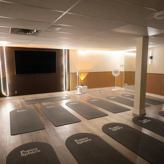 Wellness Puppy Yoga | Ottawa