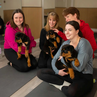 Wellness Puppy Yoga | Ottawa