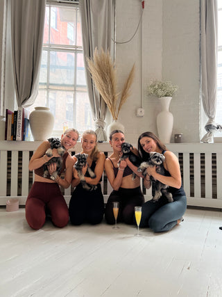 Group of women enjoying puppy yoga in Chicago with adorable puppies and mimosas.