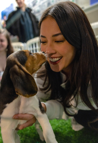 A low angle of a woman bent down holding a beagle puppy up to her nose. 