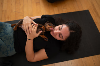Wellness Puppy Yoga | Toronto Glow