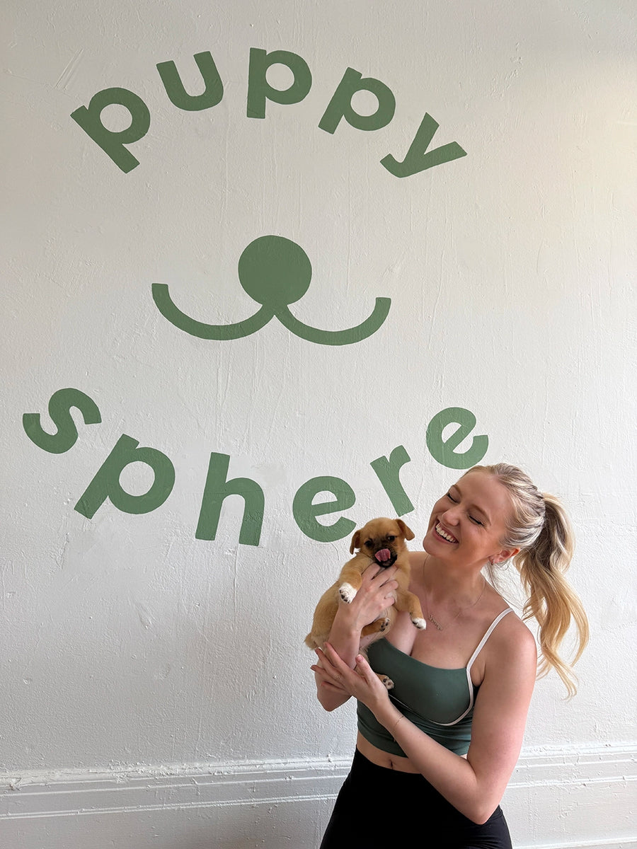 Toronto Sun puppy yoga studio in Queen West | 639 Queen St W