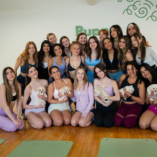 Wellness Puppy Yoga | Toronto Sun