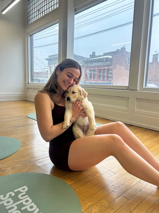 Wellness Puppy Yoga | Toronto Sun