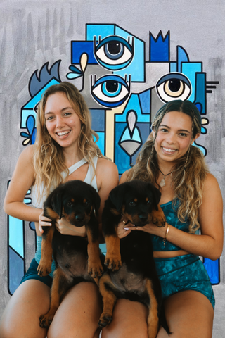 Puppies & Painting | Feb 25th
