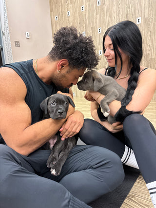 Wellness Puppy Yoga | Winnipeg