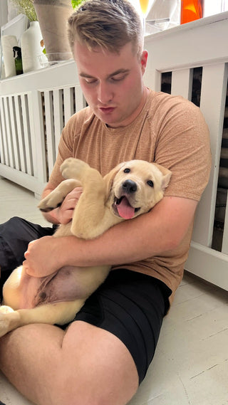 Wellness Puppy Yoga | Boston