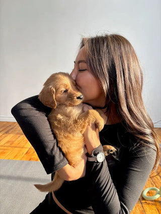 Wellness Puppy Yoga | Washington D.C.