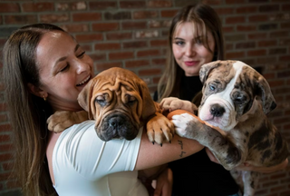 Francesca and Lea - co-founders of Doggos and Puppysphere are each holding a puppy in their arms while smiling happily. 