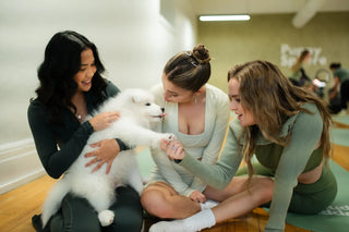 Wellness Puppy Yoga | Flatiron Studio 2