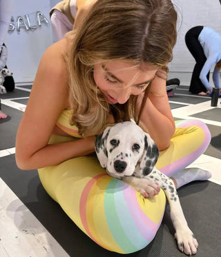 Wellness Puppy Yoga | Flatiron