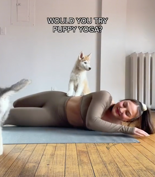 Screencap of a TikTok/Reel created by influencer Jaclyn Forbes. In the screencap is a still image of her lying down on a yoga mat in a beige brown matching athletic outfit. She is laying partially to the side in a slight grimace as a shiba puppy stands on top of her ribs / abdominal region.  Captions on top read "Would you try puppy yoga?"