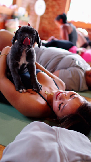 Wellness Puppy Yoga | Long Island