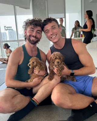 Puppy Yoga & Bubbly | Los Angeles