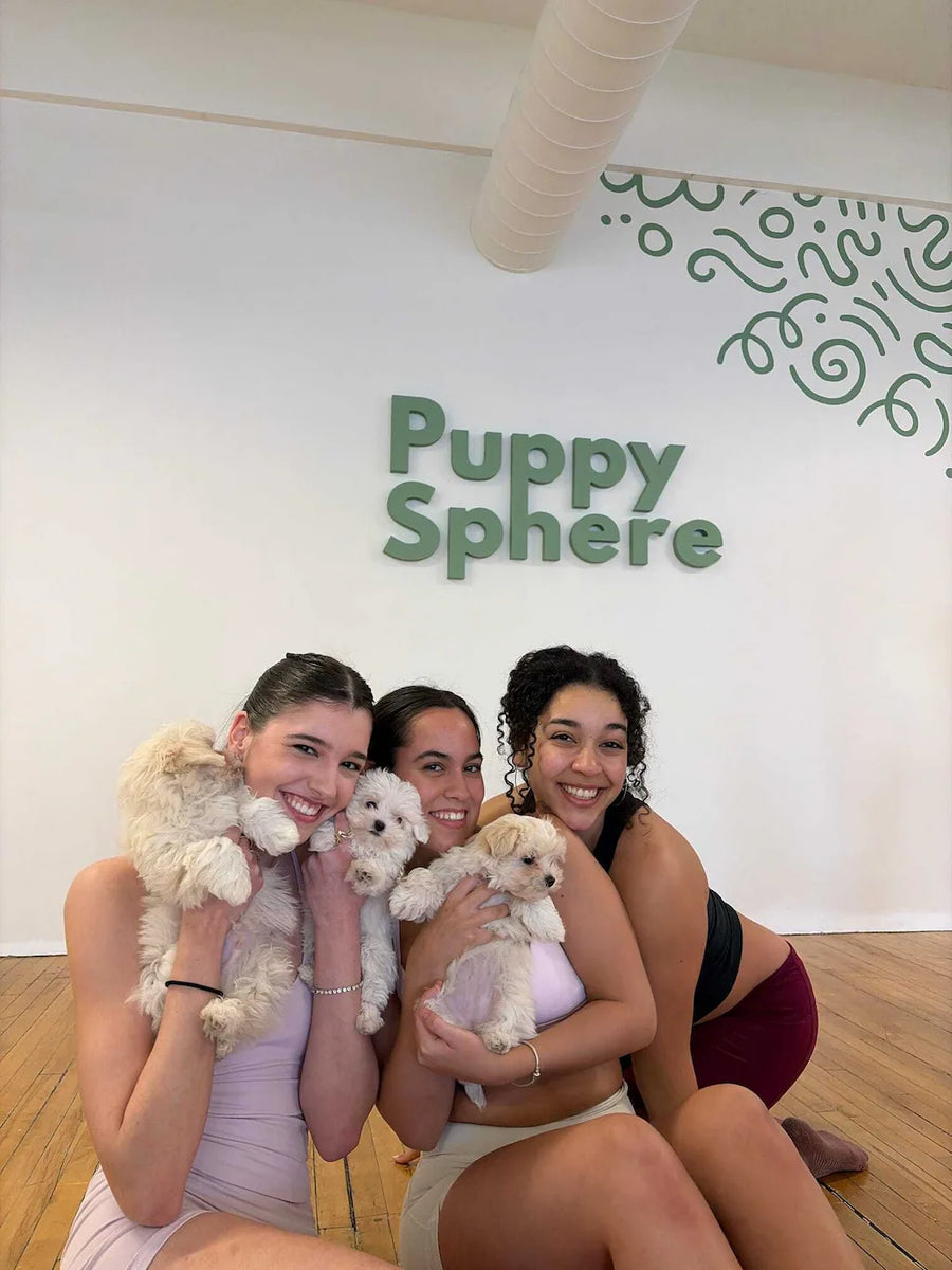 Los Angeles puppy yoga studio in 2400 Main St