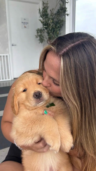 Wellness Puppy Yoga | Miami