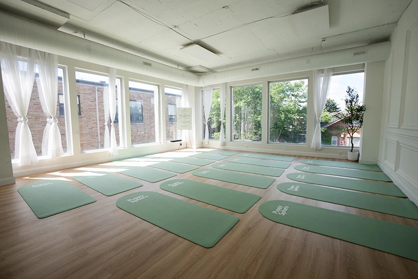 Mississauga puppy yoga studio in Port Credit | 230 Lakeshore Rd E