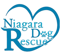 Niagara Dog Rescue