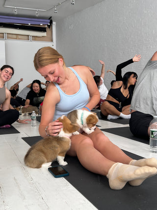 Corgis running up to cuddle a woman during a puppy yoga session in Union Square. The woman is bonding with the puppies while doing yoga.