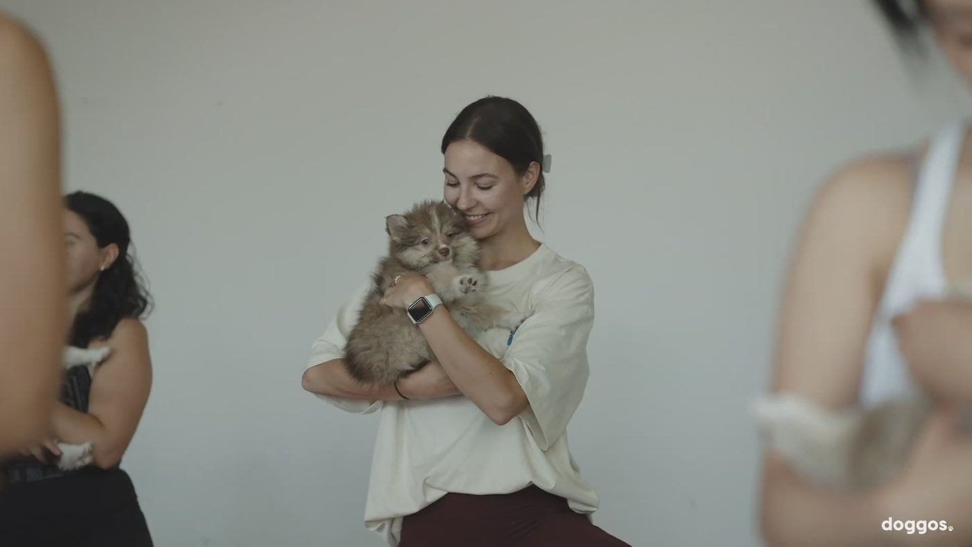 Promotion video of the puppy yoga & bubbly event. A best-selling wellness experience that combines 45 minutes of flow yoga with a certified yoga instructor, a litter of puppies, and bottomless mimosas into one event. 