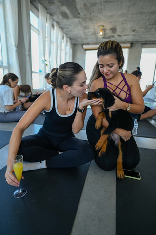 Private Puppy Yoga & Bubbly | Miami