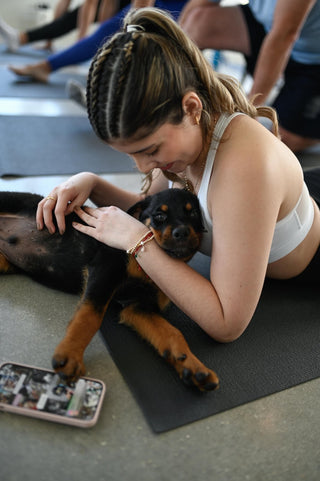 Private Puppy Yoga & Bubbly | Miami