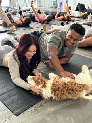 Wellness Puppy Yoga | Houston