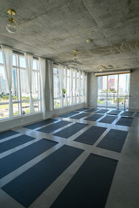 Wellness Puppy Yoga | Miami