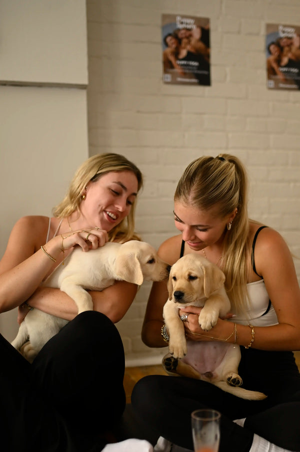 Wellness Puppy Yoga | Montréal